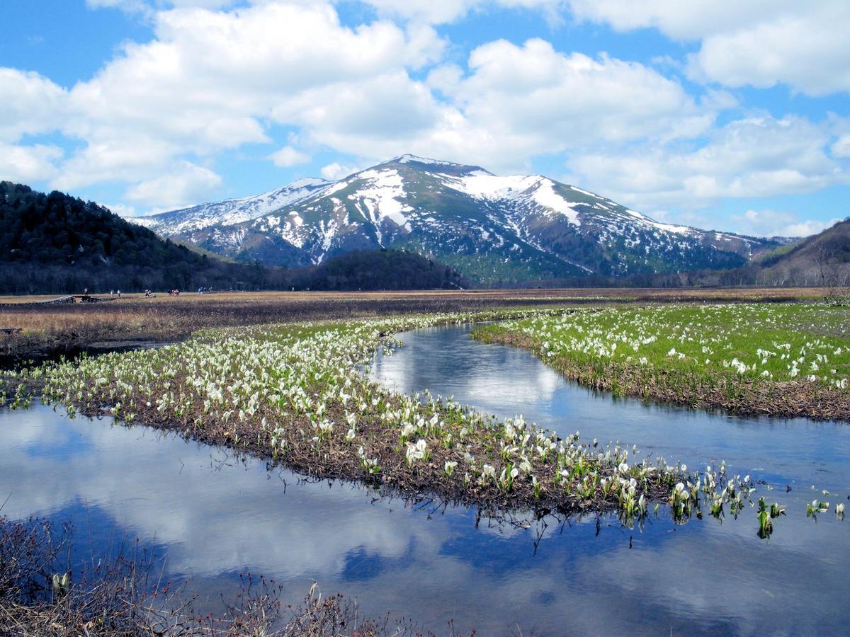 Pension Green Field Katashina Esterno foto