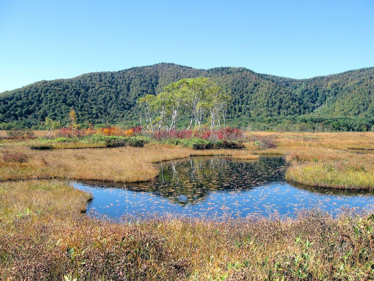Pension Green Field Katashina Esterno foto