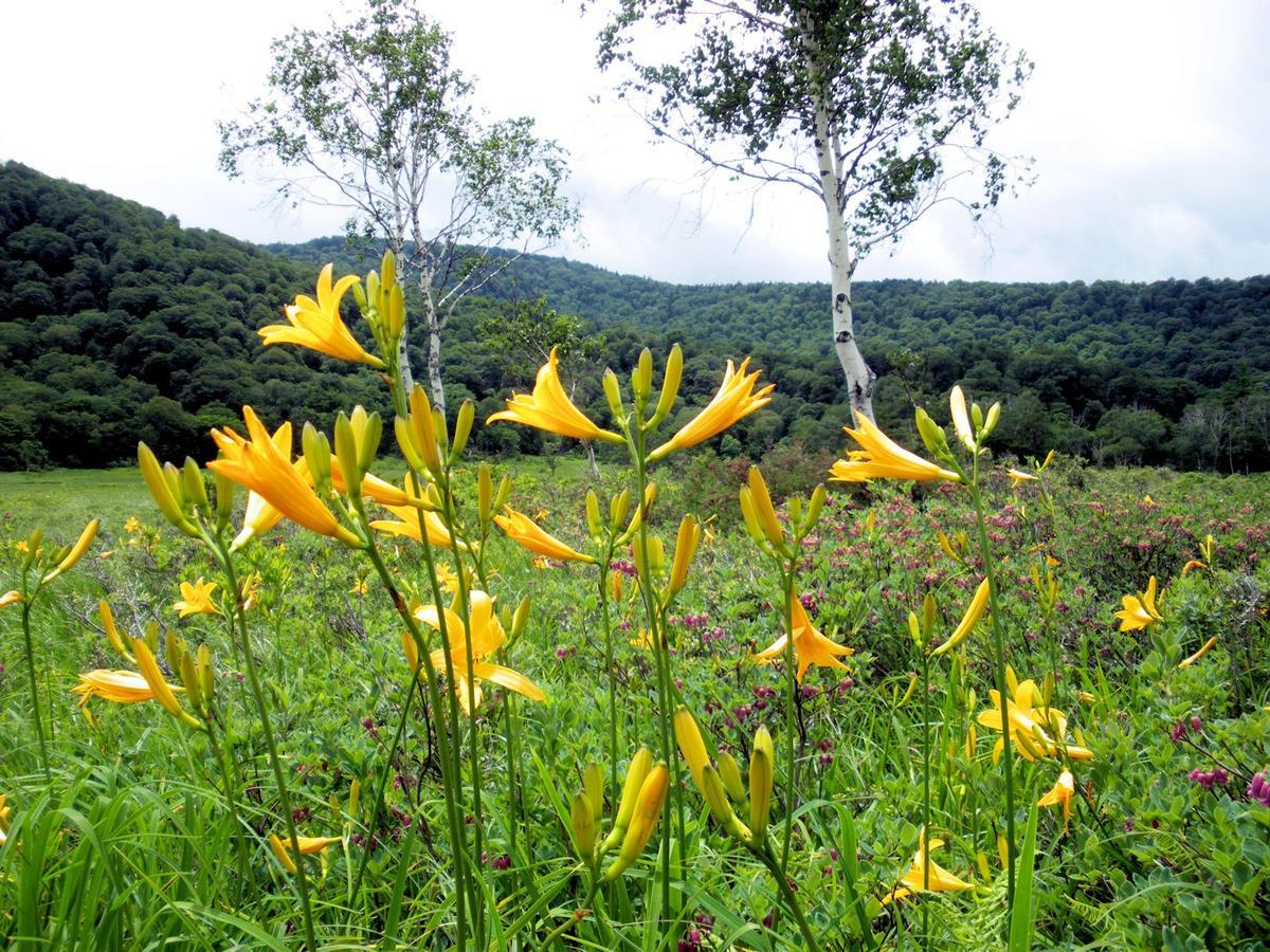 Pension Green Field Katashina Esterno foto